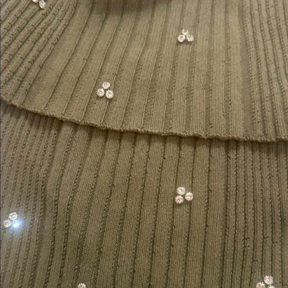 Zara Green Cowl Neck Sweater with Embellishments - Picture 3 of 4